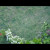 Ножницы для роз Gardena (00359-20)