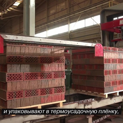 Кирпич облицовочный пустотелый терра Limited М150/200 250х120х65 мм 1NF Браер