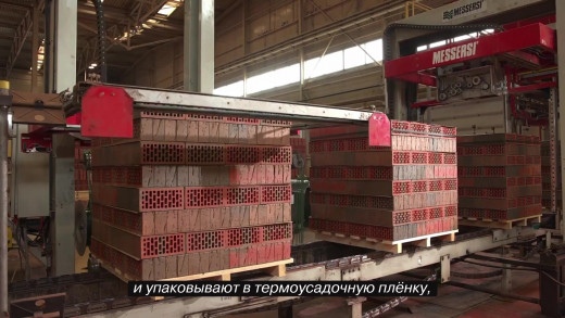 Кирпич облицовочный пустотелый терра Limited М150/200 250х120х65 мм 1NF Браер